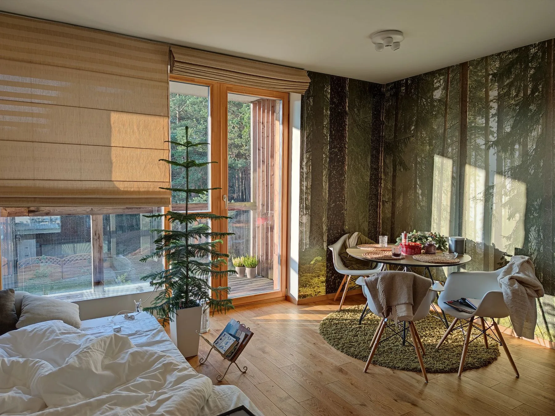 Soft daylight in a home with plants