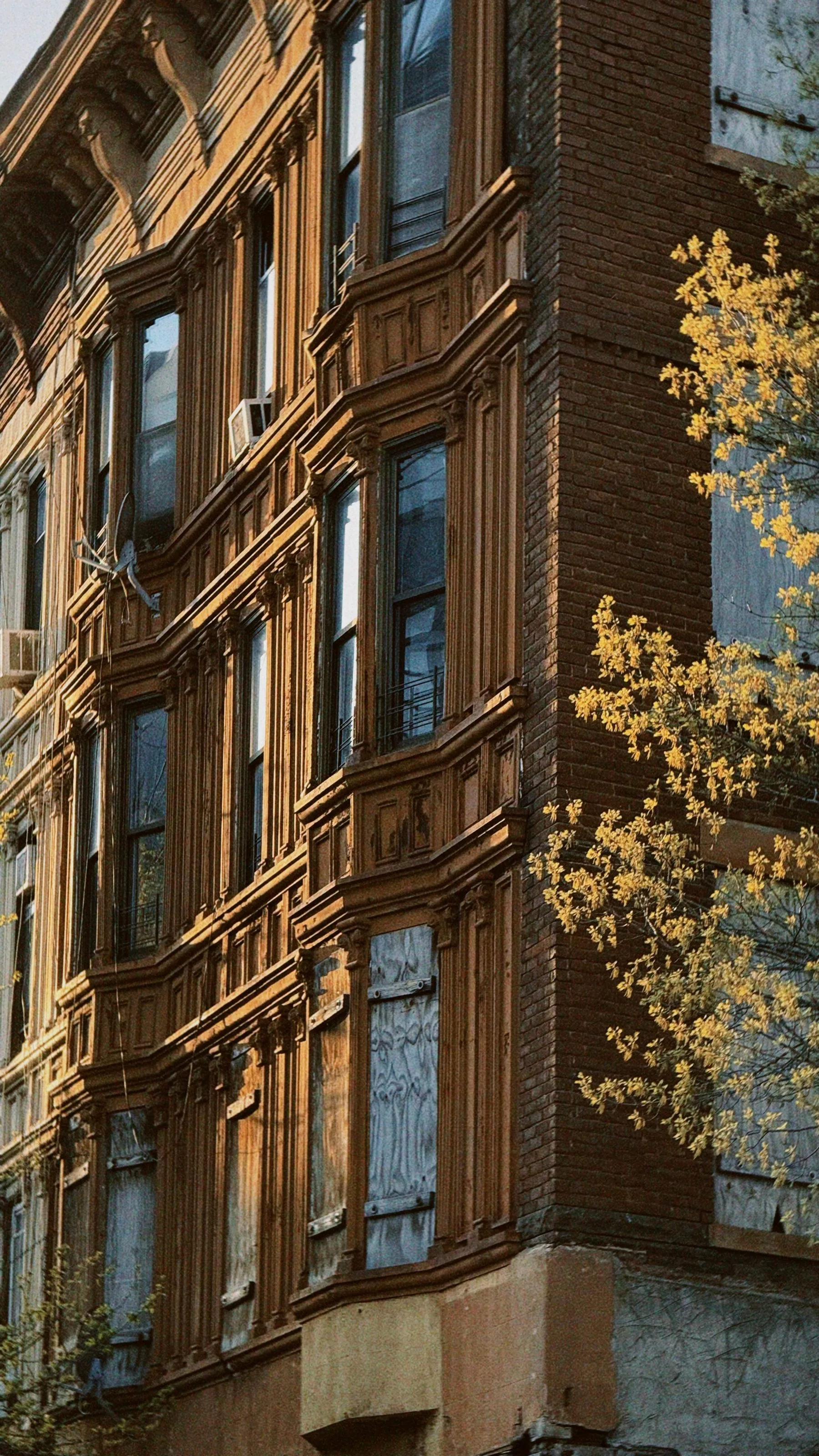 Historic brownstone architecture in Brooklyn