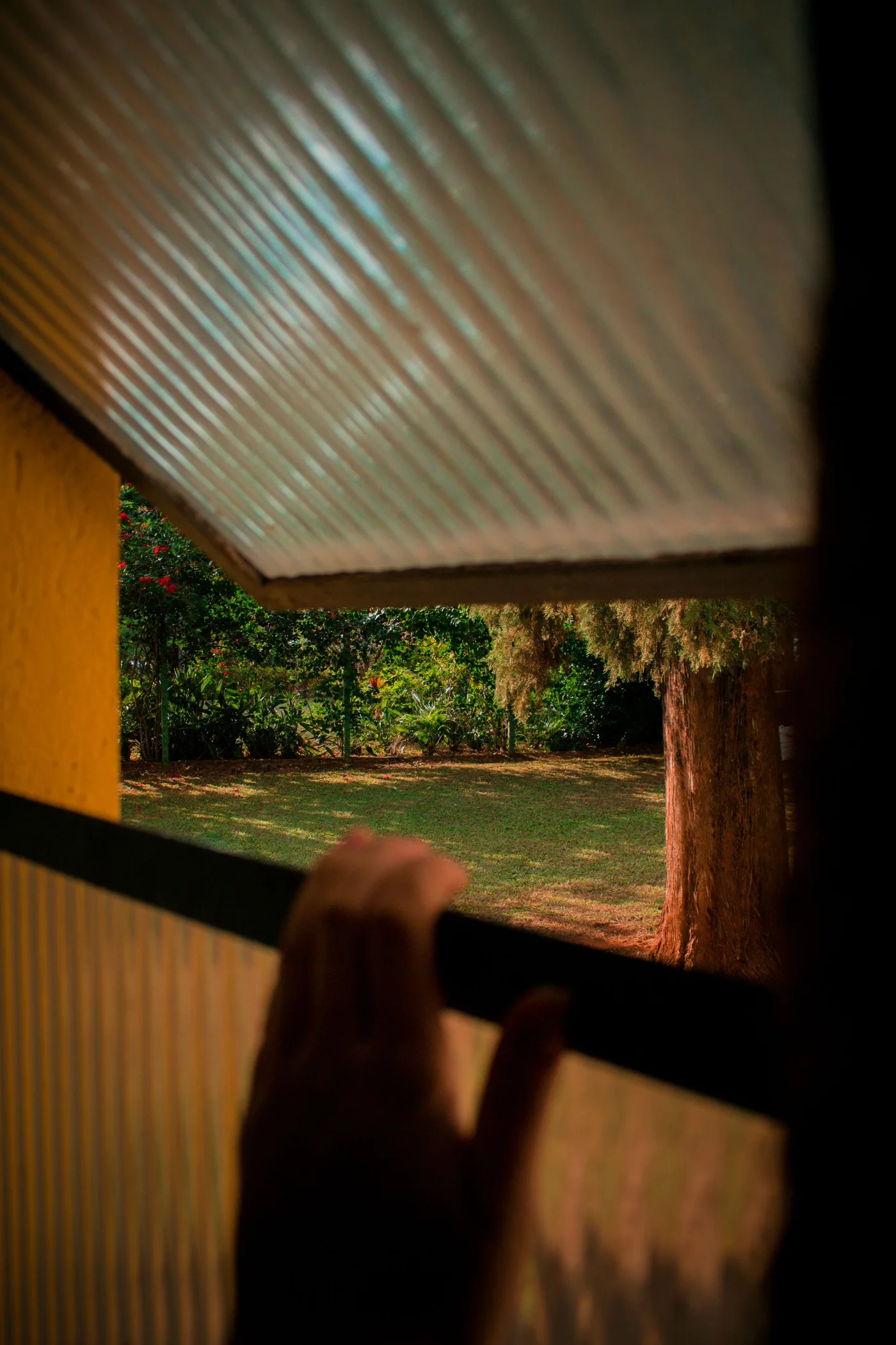 A hand opening a window toward a garden