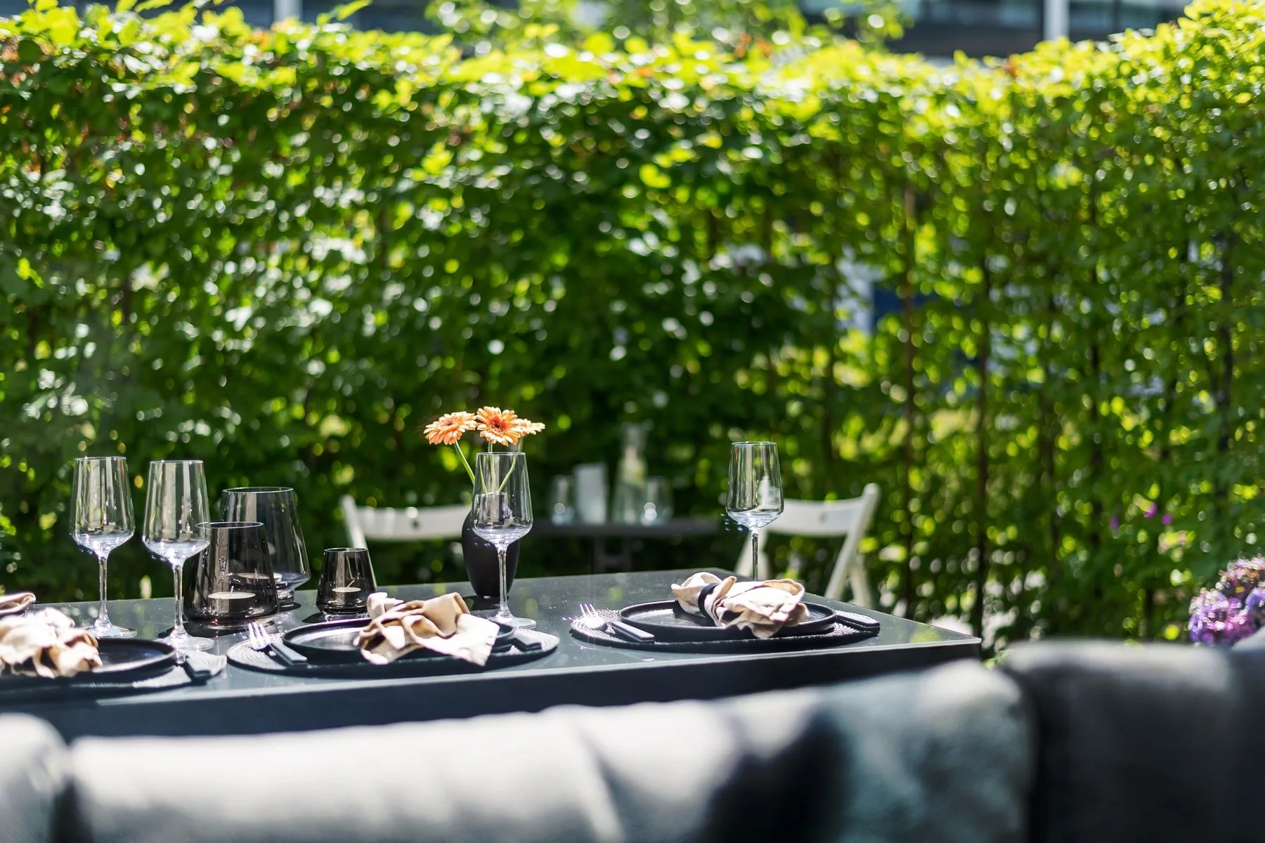 A dining table set in a leafy garden